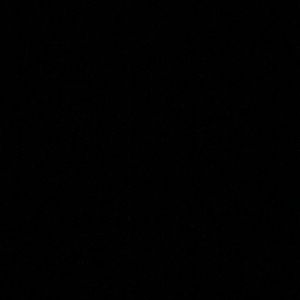 Meet your Posher, Ella